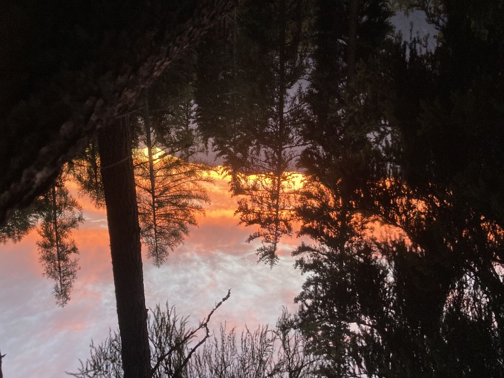 947-dario-rampa-IMG_2073.jpg Res 6272 3350bb9bd6db995b3a779f37d6964ca1