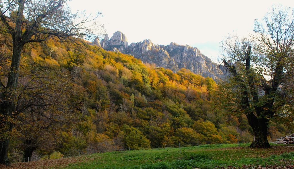 945.Monica-Peduzzi -01.jpg Res 6272 4360449bf0a50217ae72af3c53a5812a