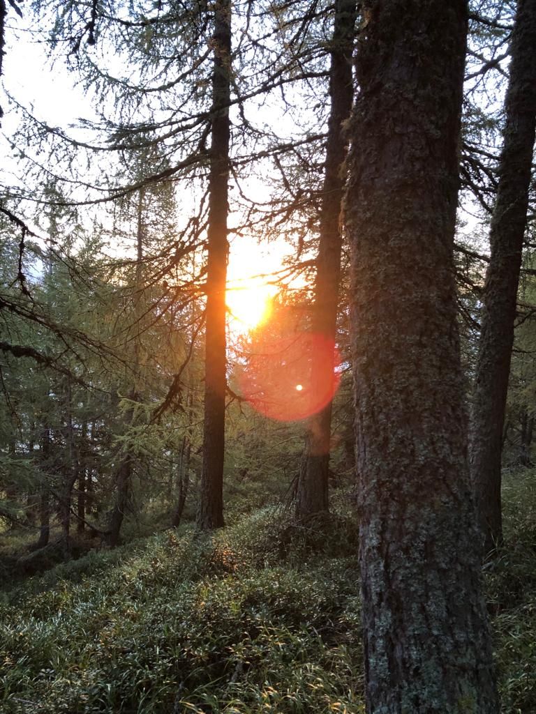 Fpaganini-IMG-20230910-WA0001.jpg Res 6272 4585f0224d136a76be329e05643f33ed