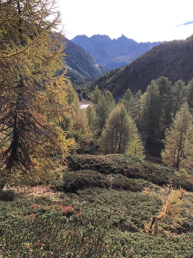 Francesca-Paganini--20231015-WA0000.jpg Res 6272 4ddf2ca3d52986ee49fe19a3d9d71fe1