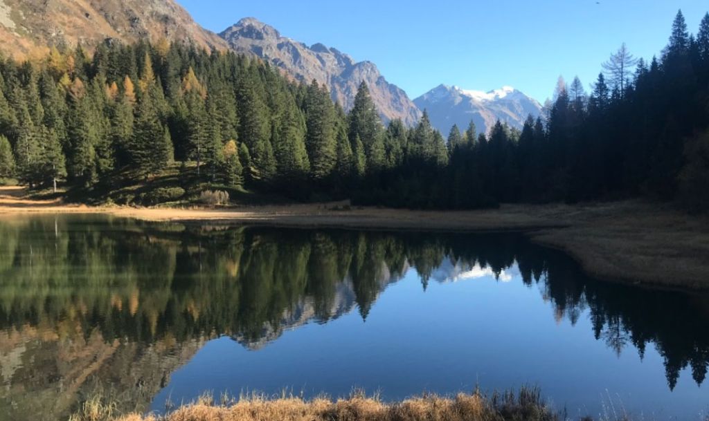 Geo-toscanoimage2.jpg Res 6272 52c85a7e0f368cb9198f701d669f3337