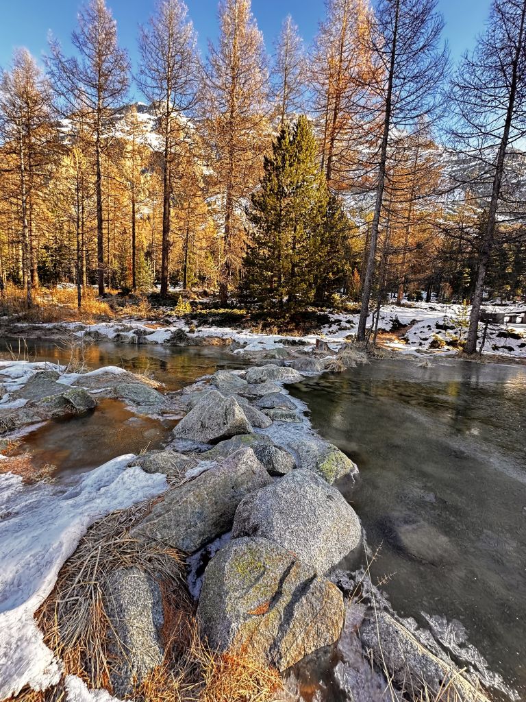 903.soro-menghini-IIMG_2276.jpg Res 6272 549fffd4b2e3599ade0866e184d285c5