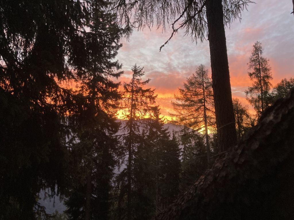 947-dario-rampa-IMG_2073.jpg Res 6272 55f56901af93e839a2579b8f98d5b4c7