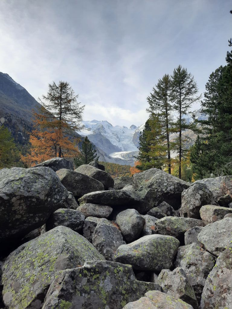 925.marcella-costa-20231012_100705.jpeg Res 6272 585a7627398b4d01ac042ec5a8fd27b7