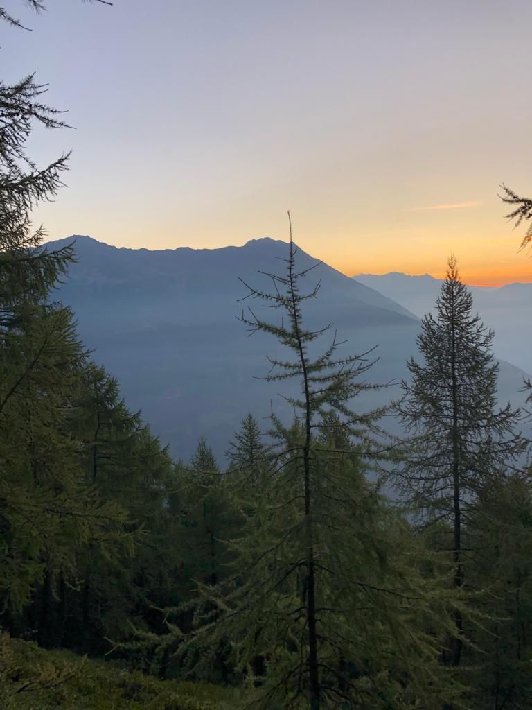 Fpaganini-IMG-20230910-WA0005.jpg Res 6272 5a99064f19e3d18ab7fc0928ceadf403