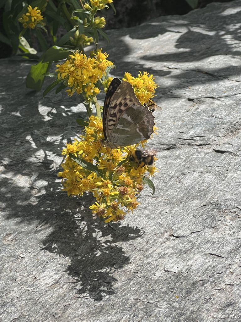 Graziano-rossi_2155.jpeg Res 6272 6066f6af5643c649f42df2f13fb55334