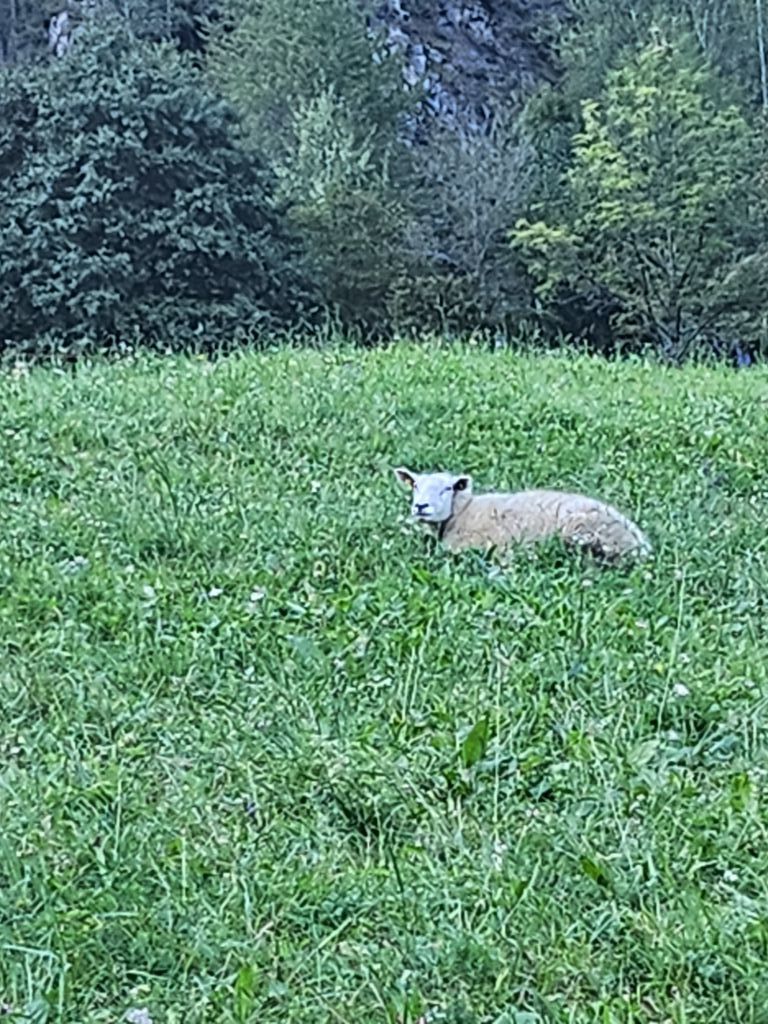 Sara-Zala-20230925_171553(1).jpeg Res 6272 6086a144188dd9286ec6f89dbfadf071