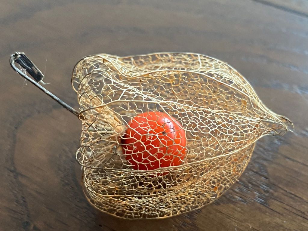 Maurizia-VAssella-1DBB2DA6-58E3-4CF9-889C-4095A7BF233A.jpeg Res 6272 6553a9f574a2a040bfc8611b0005598f