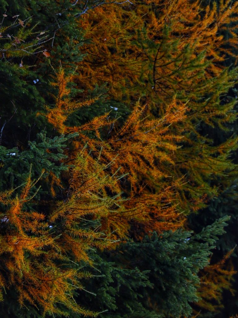 908.giada-isepponi11000034974-01.jpeg Res 6272 67d0af929f70947635f2386f25a2e458