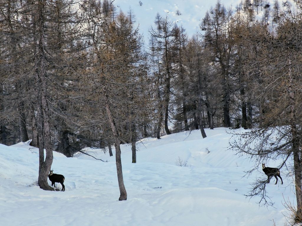 890.20231217_145245.jpg Res 6272 6b82a585a2f392a13c10334b104cce73