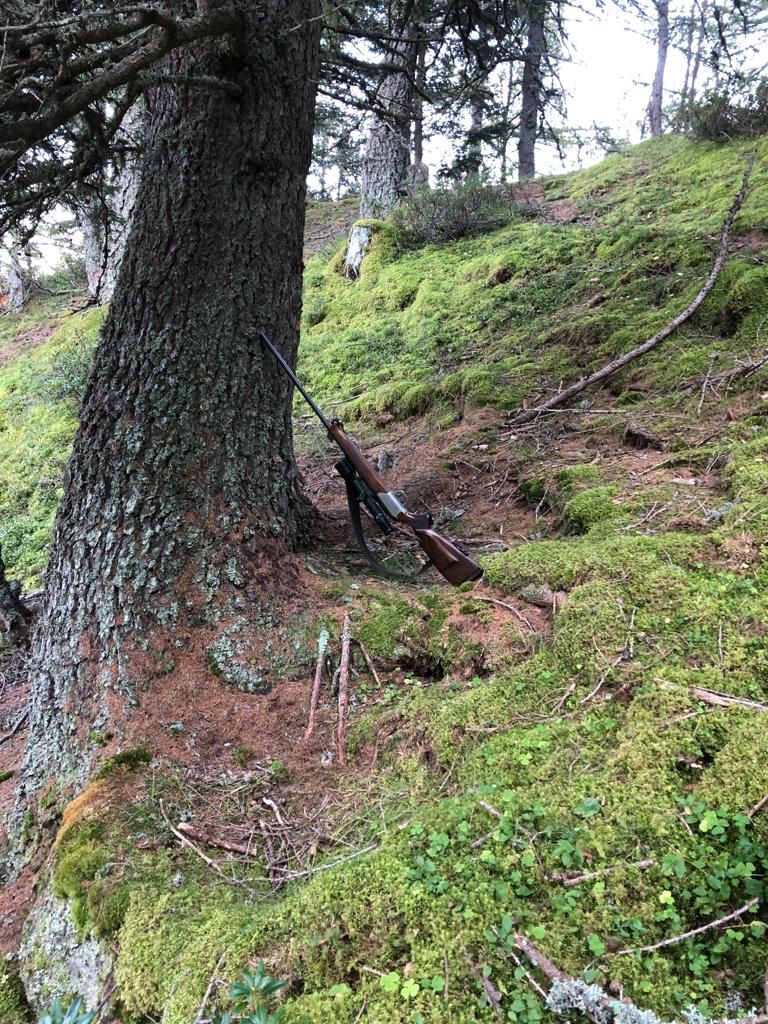 Fpaganini-IMG-20230910-WA0003.jpg Res 6272 6c7e68639373faeebd4169a5a88ed76c