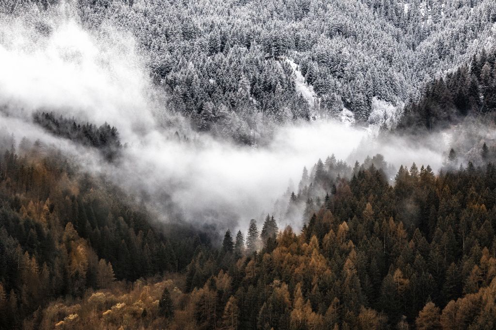 942.Maria-Svitlychna-CT7A4581-редакт copy.jpg Res 6272 6dab068a8b1f62beac5c5b51a1d3f50f