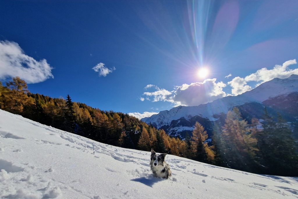 939.Nikita20231106_144449.jpg Res 6272 71754d146bb248c3e3dc41132c02b78d