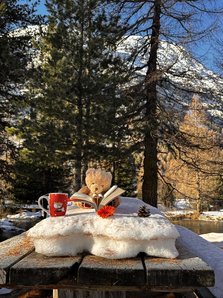 902.soro-menghini-IIMG_2301.jpg Res 6272 74cbf80a1fdc3067da3dbbc035689542