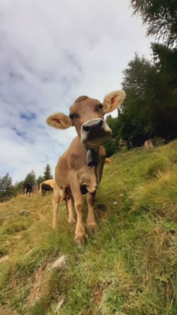 Samanta-Piana-image0.jpeg Res 6272 7960748e94584885d20f3cb908a98c3c