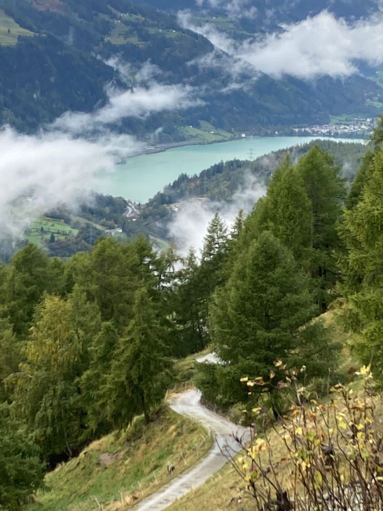 966.Laura-Plozza-image.jpg Res 6272 7ea96ef497b5b3c0dc4b7f8295da7909