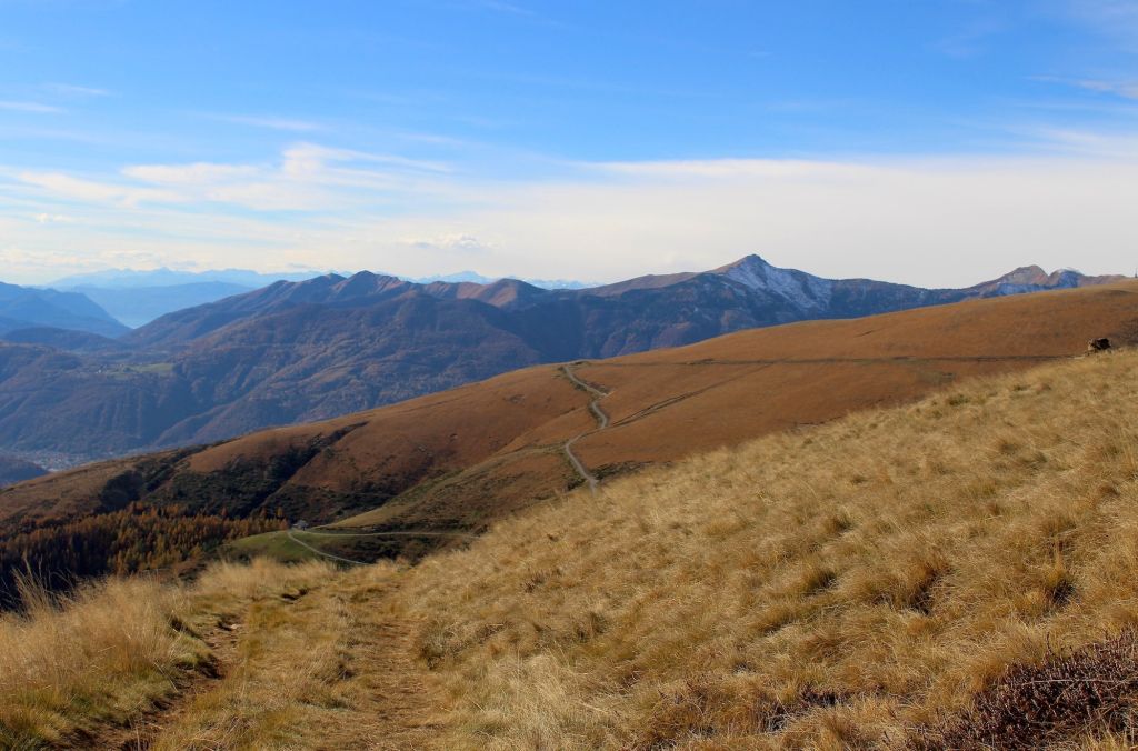 899.Monica-Peduzzi-06.jpg Res 6272 8101e3555a35d1dd9259ba1def8d37fb