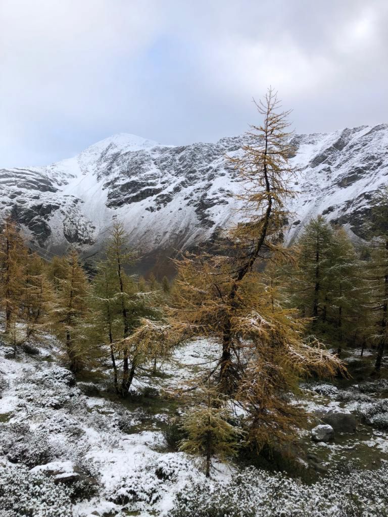 959.francesca-paganini-20231022-WA0000.jpg Res 6272 8845ef33aa809f5caa05e5a2662d3d6f