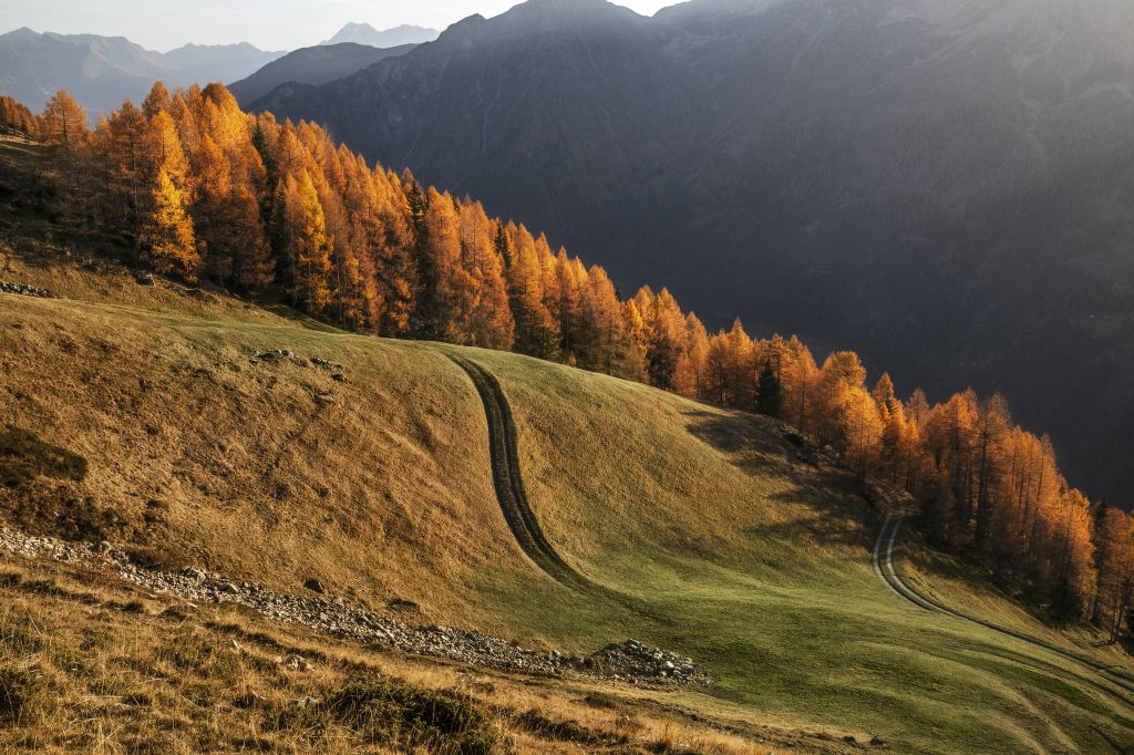 943.Maria-Svitlychna-CT7A5008-редакт copy.jpg Res 6272 8a49bb17655ee8d99f3ac49610bddc1f