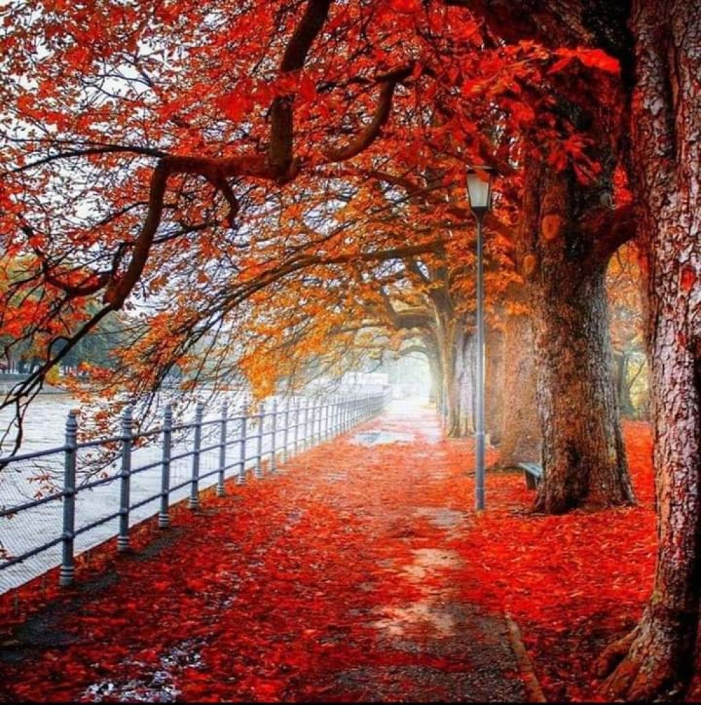 978.steffania-Bösch-FB_IMG_1696403270419.jpg Res 6272 8d7cac0cd94240f23751839521fedd40