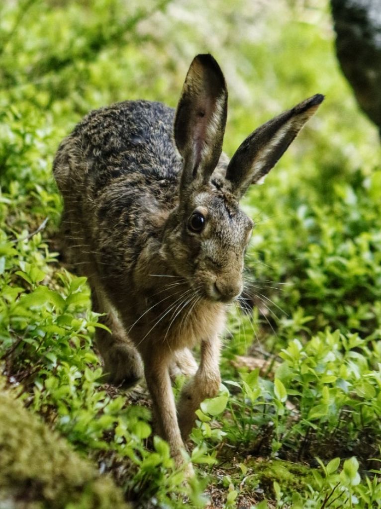 Giada-isepponi-20230529105725__MG_5291-01.jpeg Res 6272 8fc41b269261e184897966baae96ef19