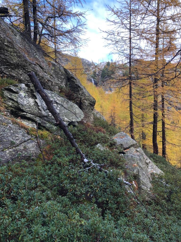 962.francesca-paganini-20231022-WA0001.jpg Res 6272 910b1e1cf17b2fb1297731586af004d2