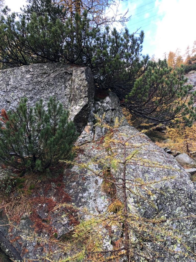 960.francesca-paganini-20231022-WA0003.jpg Res 6272 9b1758aac5bc678b8e096950fe23cb5a