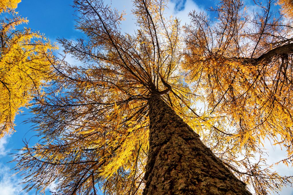 894.Bruno-Bricalli_003.jpg Res 6272 9c9f7147f30aa2c5e13f80b1d7f213d7