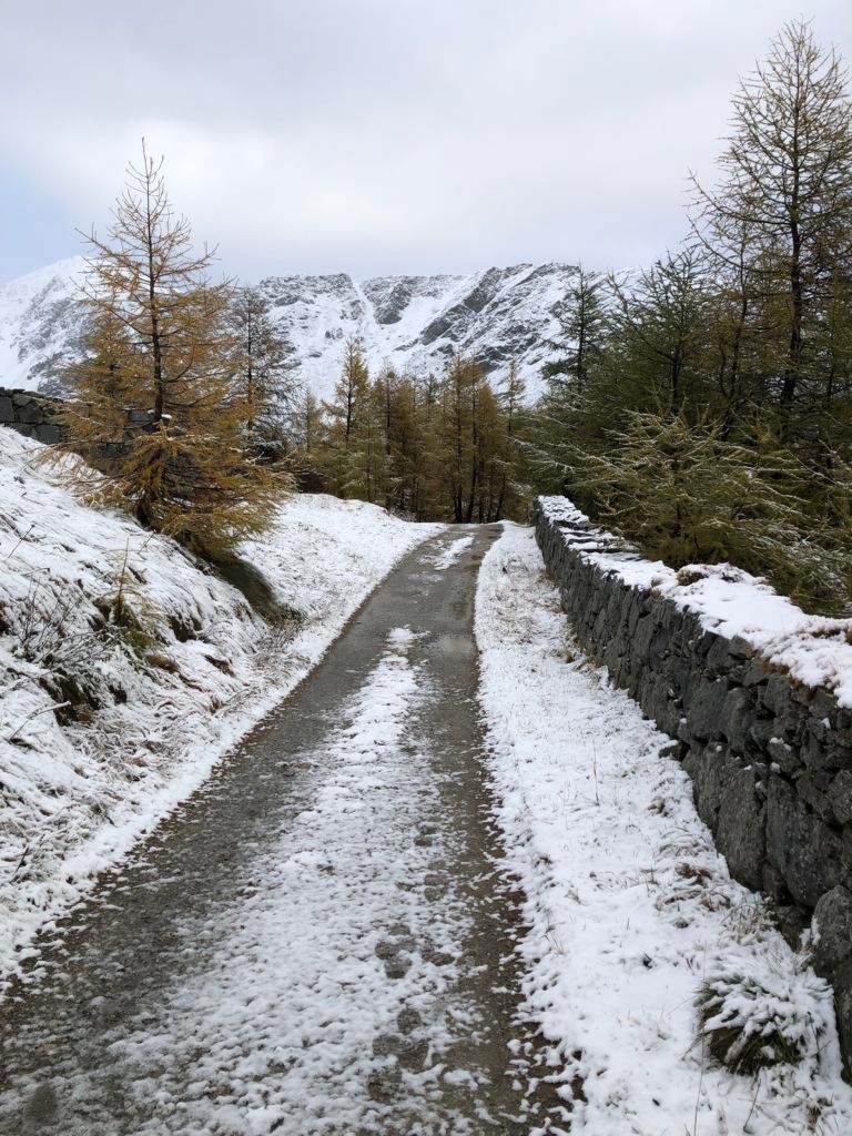 957.francesca-paganini-20231022-WA0006.jpg Res 6272 A78e021d753dccb91ea1d283d8d6aafb