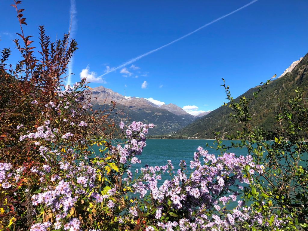 979.Serena-Raselli_0001.jpg Res 6272 Ae420517fd58e5900fa31ab4f6aff071