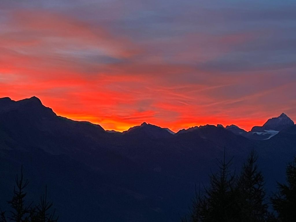 Maurizia-zala-20230914-WA0001.jpg Res 6272 B056c8a1dec9f3434f6009fdf9cfecb2