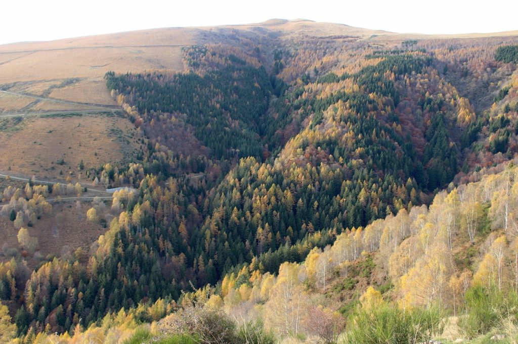 900.Monica-Peduzzi-07.jpg Res 6272 B3596ed3ce65450cd8563443451b5ba8