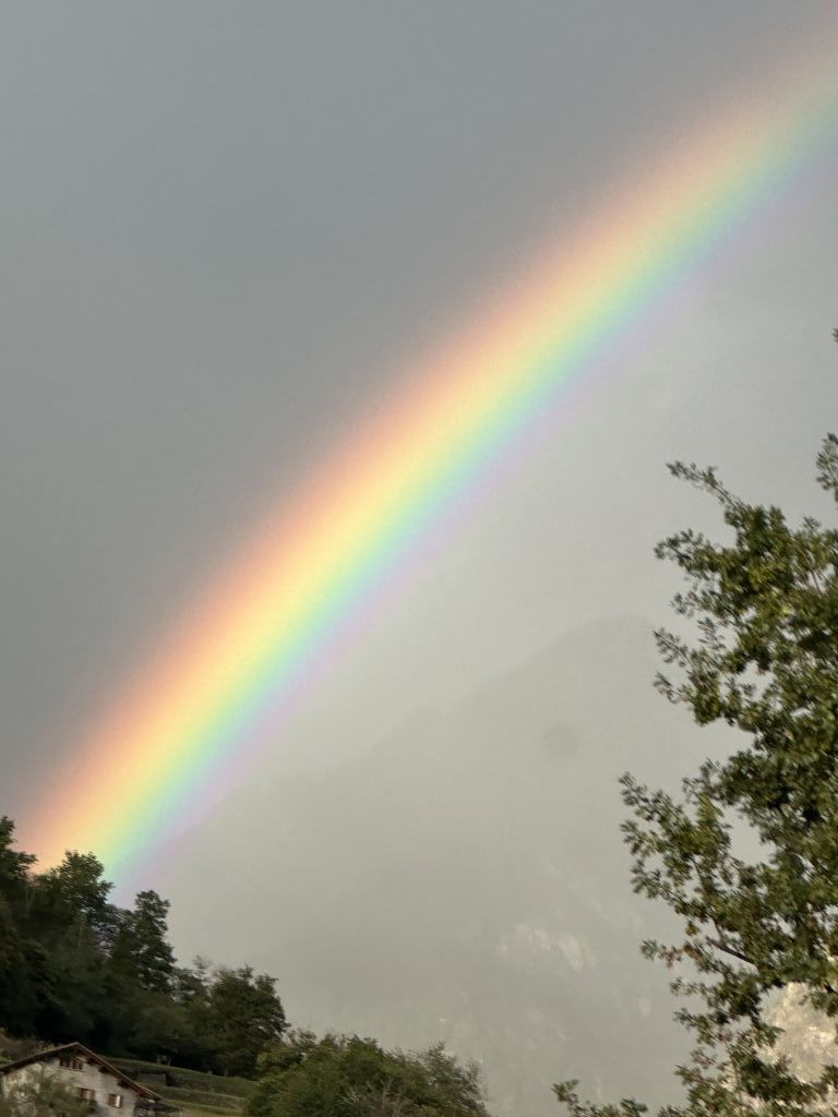 Paganoni IMG_1951.jpeg Res 6272 Ba392ecbba0fc1b95357dfe801116e5b