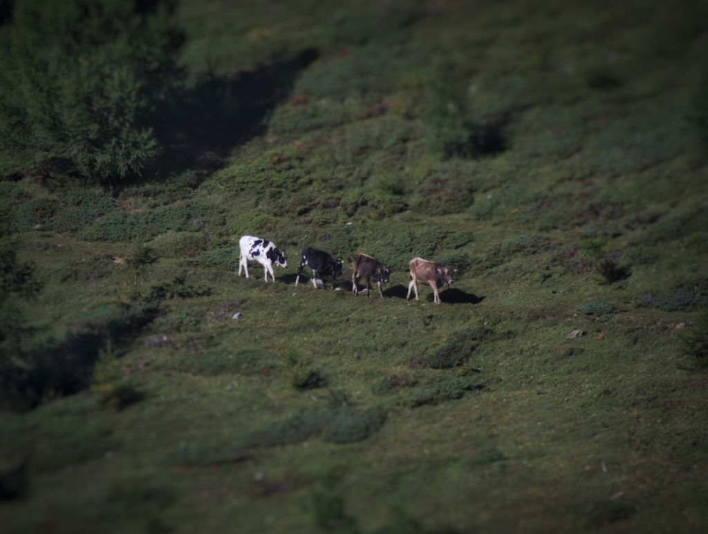 Giada-isepponi-20230909160436__MG_0863-03.jpg Res 6272 Bde719e1e6b0d091507cab70757c6606