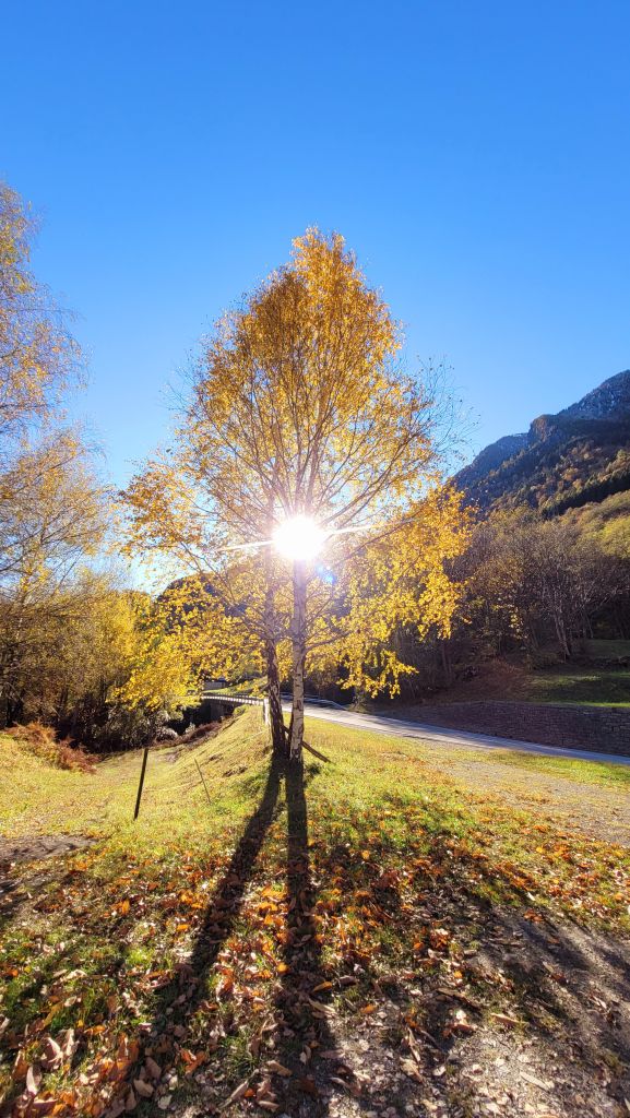 981.parolini-20211105_145000.jpg Res 6272 C1787dc98b5e7411ef4e9f052691f124