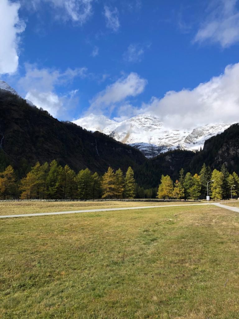 963.francesca-paganini-20231022-WA0008.jpg Res 6272 C1e9b56feceefd5ebf0b7fffafd7a58c