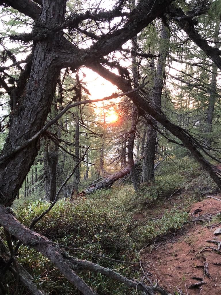 Fpaganini-IMG-20230910-WA0006.jpg Res 6272 C7302cc2c95368e6763aaf517ae3fef8