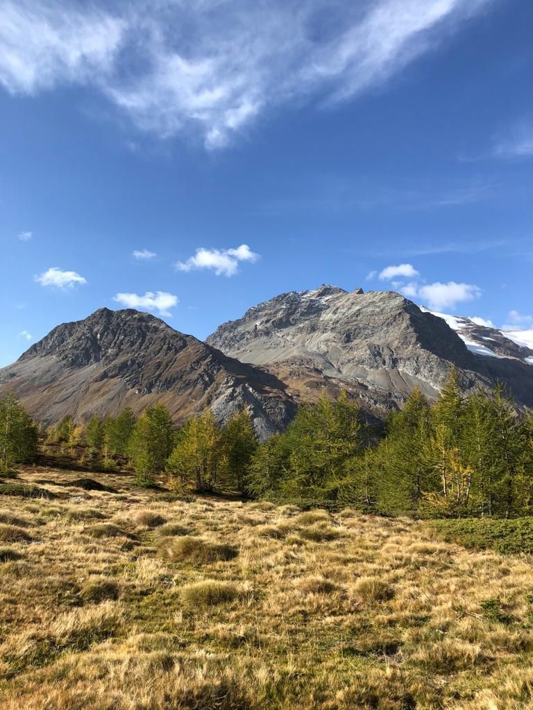 Francesca-Paganini-20231008-WA0003.jpg Res 6272 C8676ca32c3d0e63c965a06c8d722499