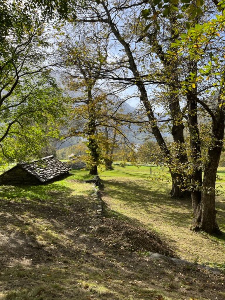 corina-petruzio-IMG_0821.jpg Res 6272 C960057427a86c44a8532f106cda29a6