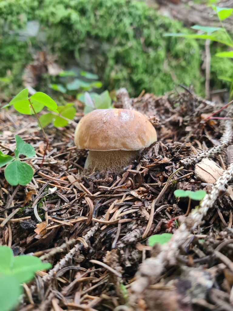 Daniele_4032.jpg Res 6272 C9fdcd71062bb4fbd31dfa36c7f59fad