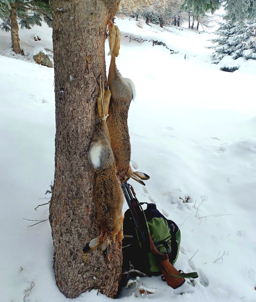 898.Reto_zanoli20231110_091150.jpg Res 6272 Cd4e108256e35f052572fa75478a6e4b