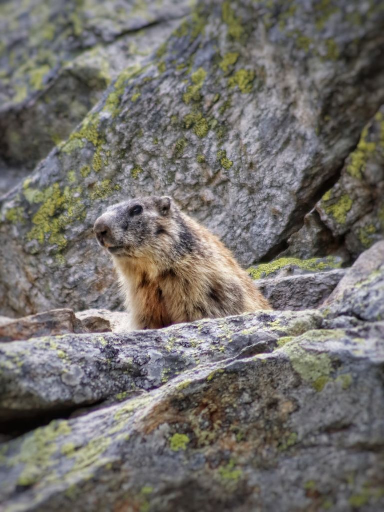 Giada-isepponi-20230709143608__MG_7329-01.jpeg Res 6272 D143df6b73c85bc26c6c77b1d8b42445