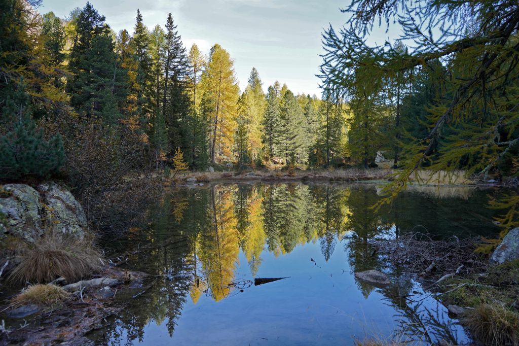 986.Foto concorso Autunno 2023.jpg Res 6272 D185314bd06200735e0b81e8697965e4