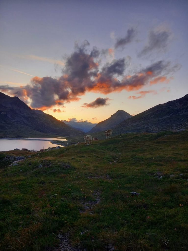 952-Martina-Heis-0001.jpg Res 6272 D6010aaca1481f661cc818830ccfdddf