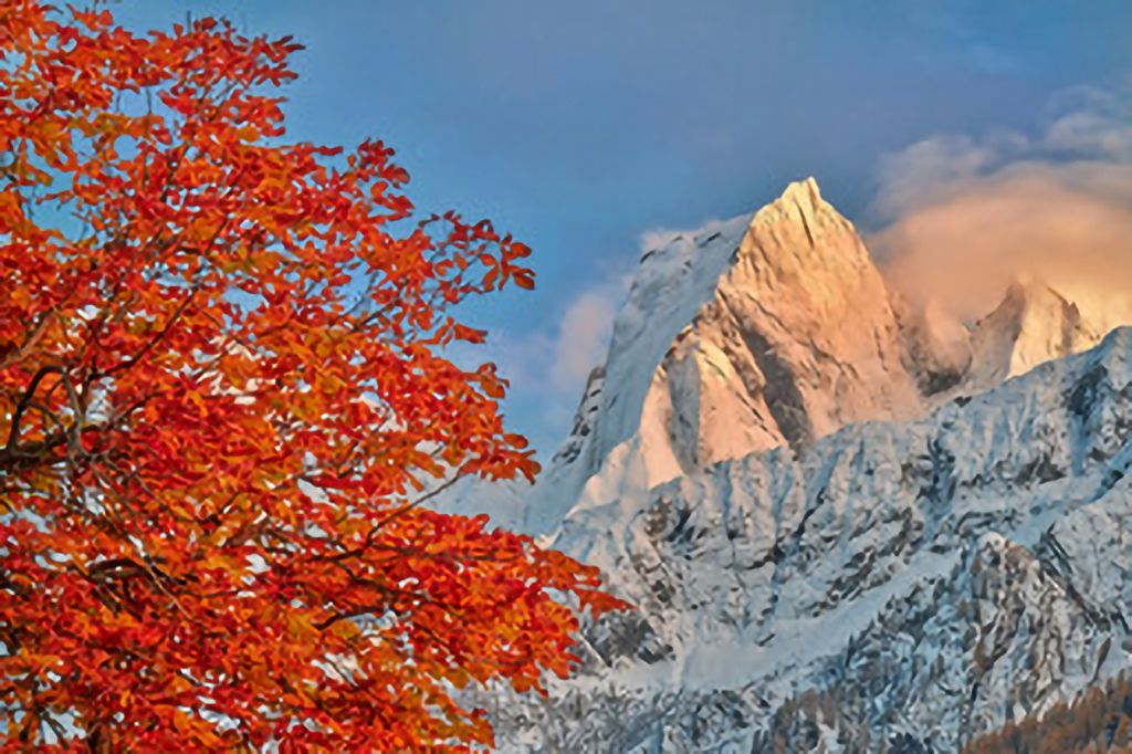 triacca.jpg Res 6272 De0c91a44635146661e1e30469290df7