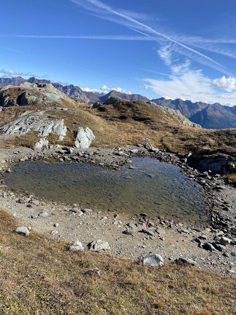 990.Silvana-Semadeni-IMG_8998.jpg Res 6272 E02b823b3e04e2c32085aaf602d7d6be