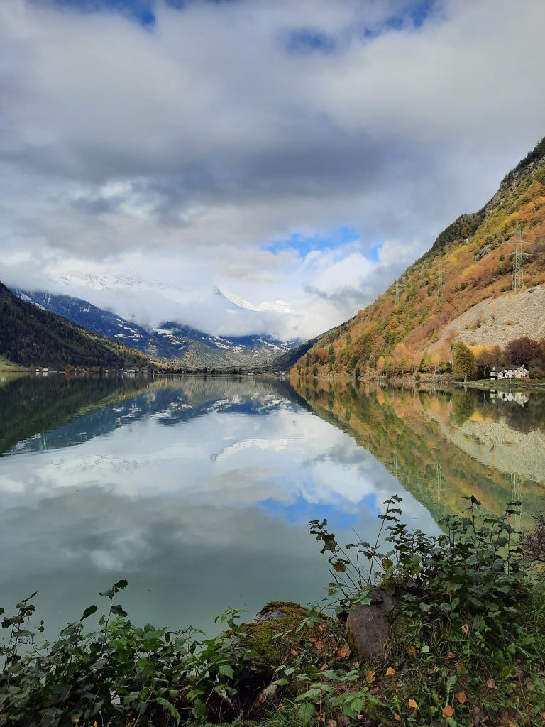 922.marcella-costa-20231105_111731.jpeg Res 6272 E27eb694e6a53ffeb94ab70bdc0ba393