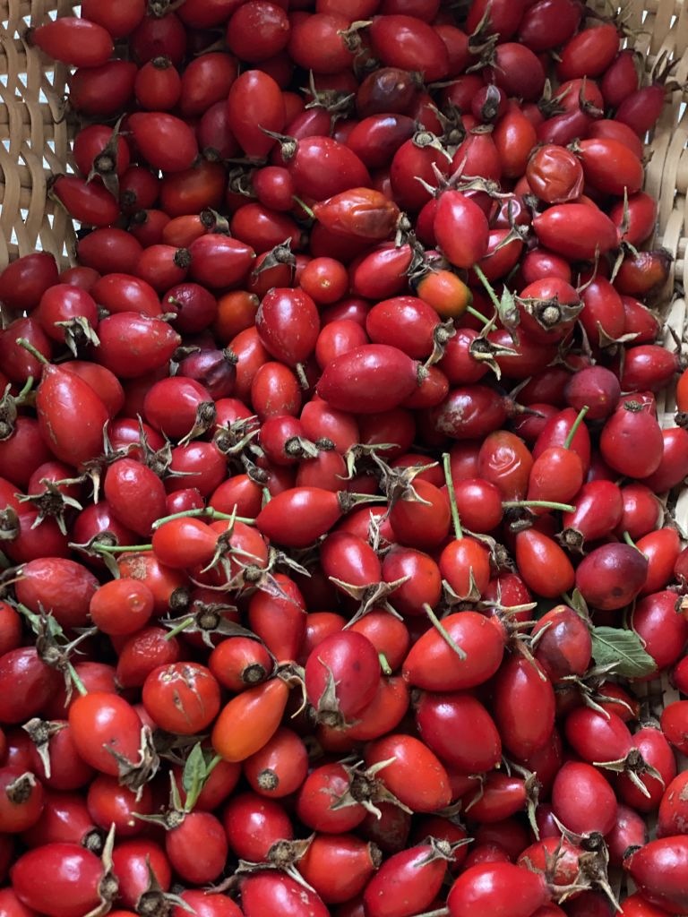 992.Silvana-Semadeni-IMG_8888.jpg Res 6272 E7bbcf34093f9e79f07bc2668836c93b