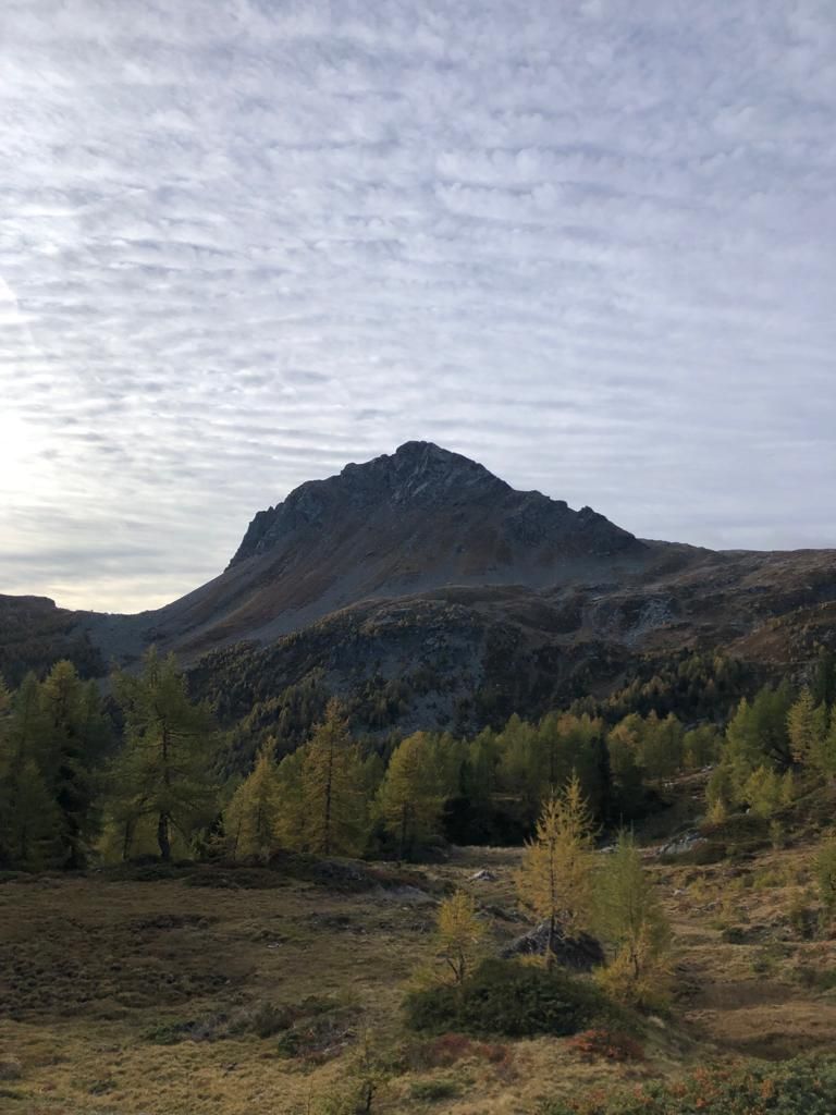 Francesca-Paganini-IMG-20231015-WA0001.jpg Res 6272 Eb55502af4f1e0f0e8d457e17bd8fa80