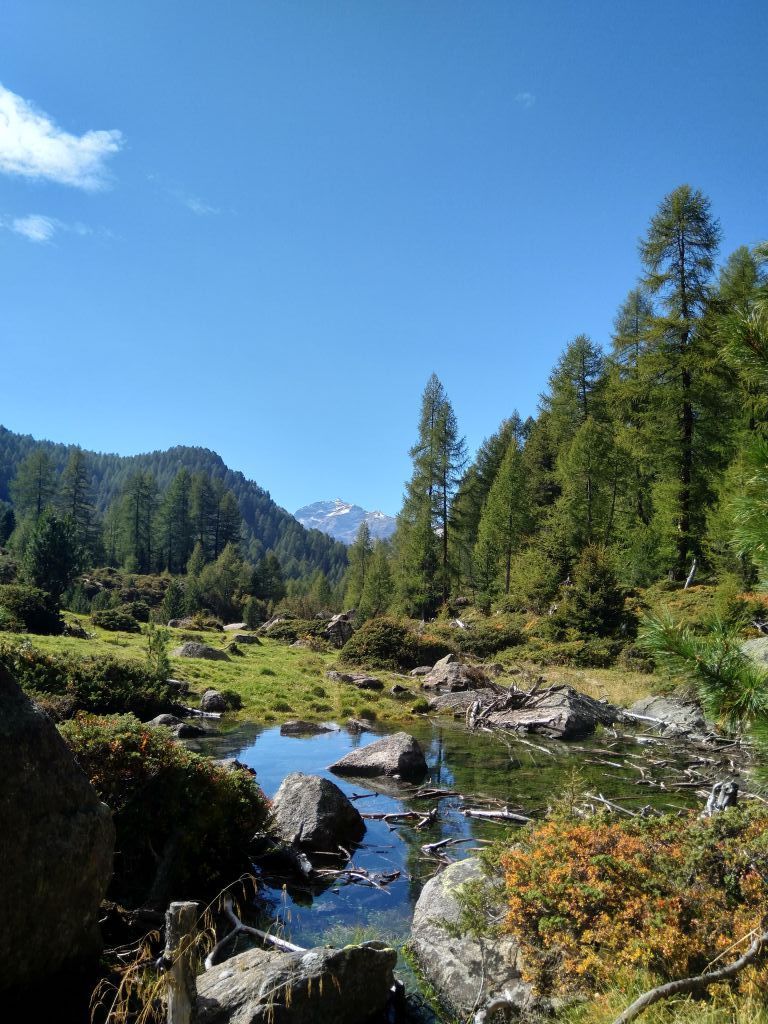 Iris-cramer_20230928_134426.jpeg Res 6272 Ed16d72e1b19934015e8e44bd058e91d